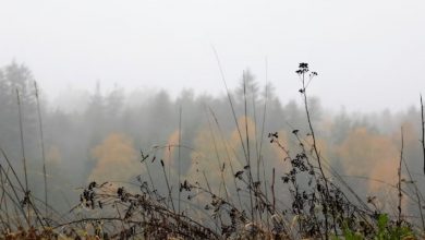 Photo of Rencana Allah