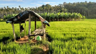 Photo of Beriman Dengan Takdir