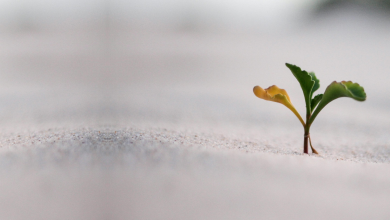 Photo of Laporan Keuangan Mei 2025